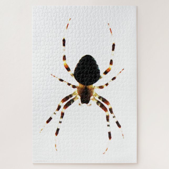 Spider 20x30 1014pc jpm jigsaw puzzle (Vertical)