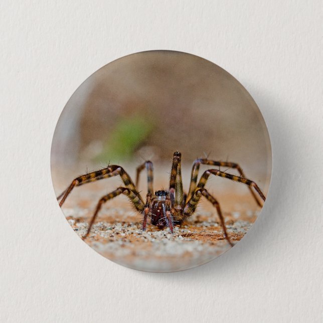 spider a 6 cm round badge (Front)