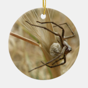 Spider and Egg Sac Custom Birthday Ceramic Tree Decoration