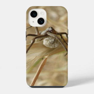 Spider and Egg Sac iPhone 14 Case