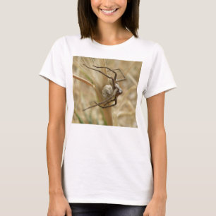 Spider and Egg Sac Ladies T Shirt