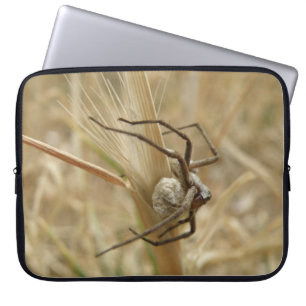 Spider and Egg Sac Laptop Bag