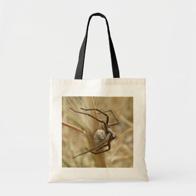Spider and Egg Sac Tote Bag (Front)