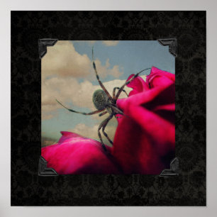 Spider and Red Rose Halloween Poster