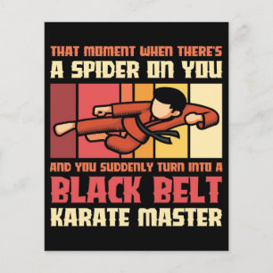 Spider Black Belt Karate Master Flyer