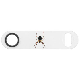 Spider bocn
