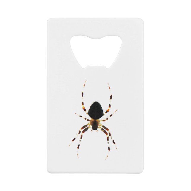 Spider bocna (Front)