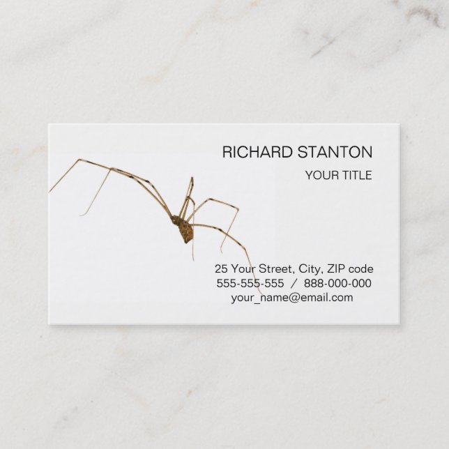 Spider Business Card (Front)