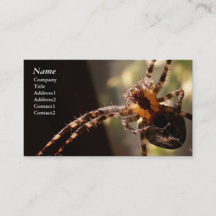Spider - Business Cards