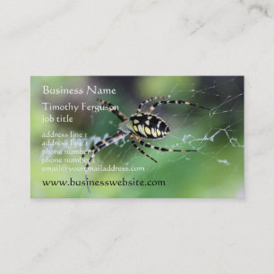 Spider Business Cards