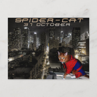 spider-cat postcard