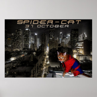 spider-cat poster