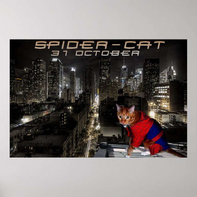 spider-cat poster (Front)