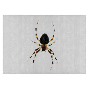 Spider cbcna cutting board