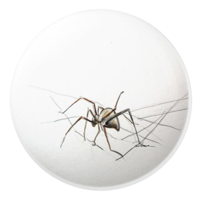 Spider Ceramic Knob (Front)