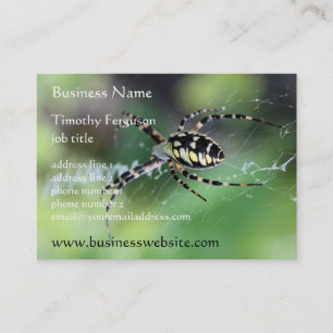 Spider Chubby Business Cards