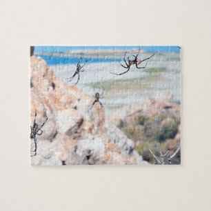 Spider City - Hangin Around Jigsaw Puzzle