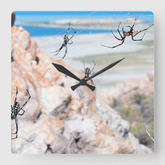 Spider City - Hangin Around Square Wall Clock