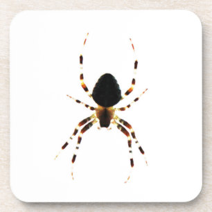 Spider coastercn beverage coaster