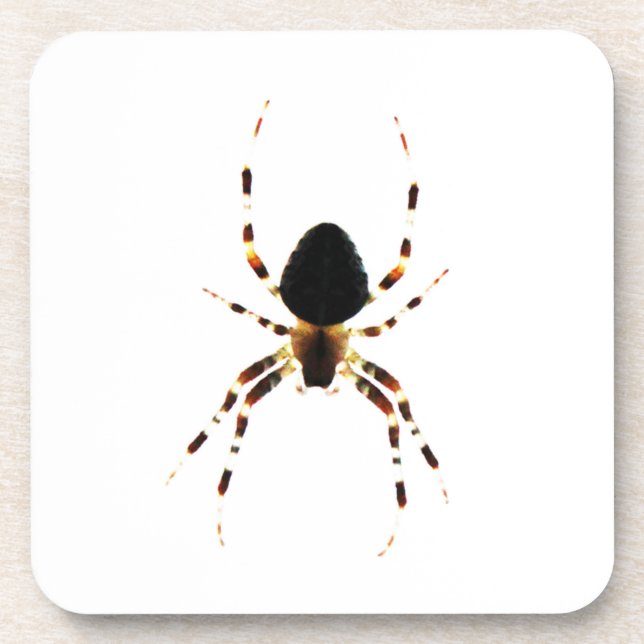 Spider coastercn beverage coaster (Front)