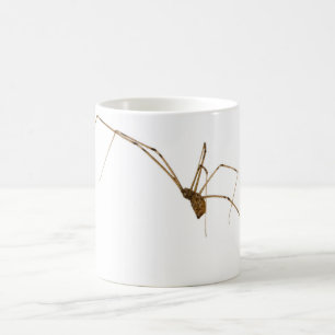Spider Coffee Mug
