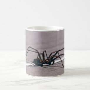 Spider  coffee mug