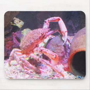 Spider crab animal mouse pad