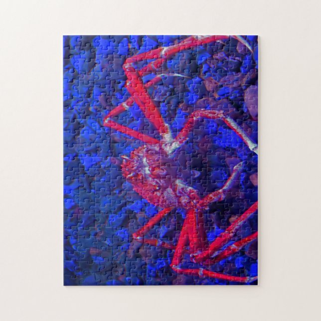 Spider Crabs. Jigsaw Puzzle (Vertical)