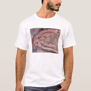 Spider Crater, Western Australia T-Shirt