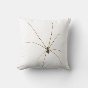 Spider Cushion