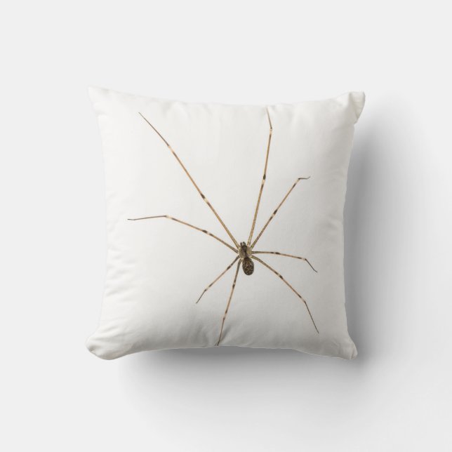 Spider Cushion (Front)