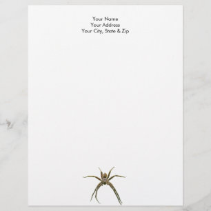 Spider Custom Letterhead