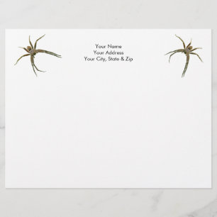 Spider Custom Letterhead