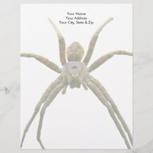 Spider Custom Letterhead