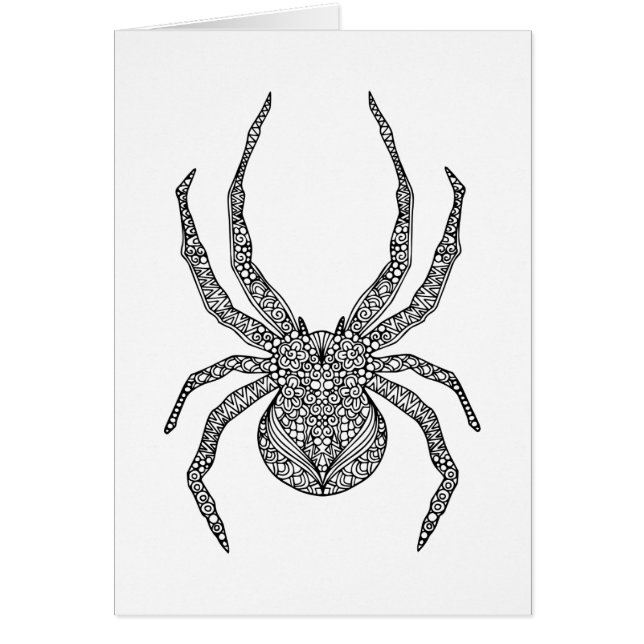 Spider Doodle (Front)