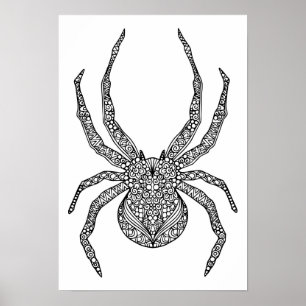 Spider Doodle 2 Poster