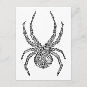 Spider Doodle Postcard