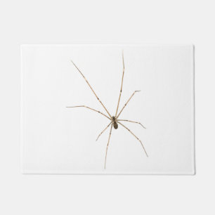 Spider Doormat