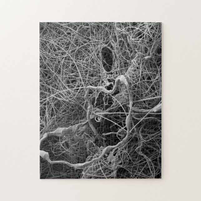 Spider egg sack puzzle (Vertical)