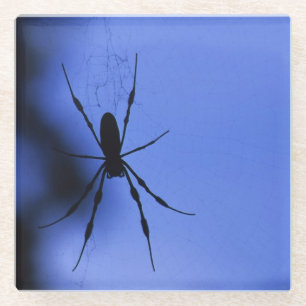 Spider Glass Coaster