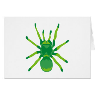 Spider (Green)