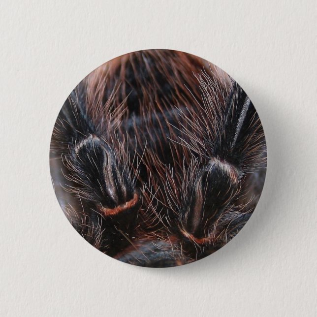 spider hair 6 cm round badge (Front)