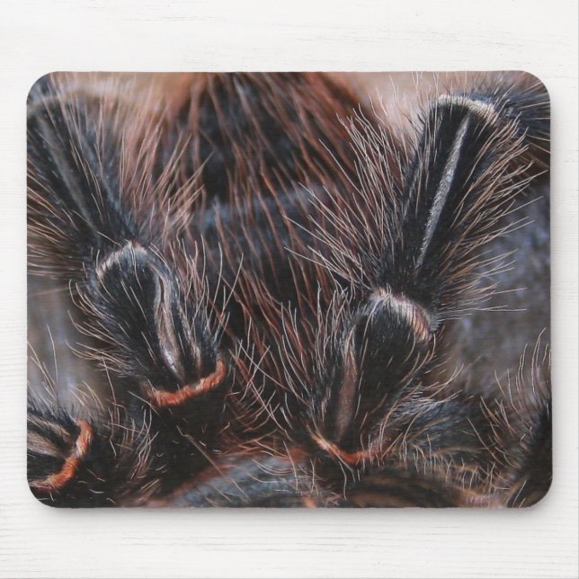 spider hair mouse pad (Front)