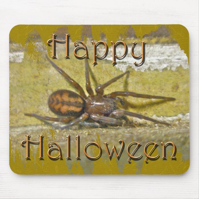 Spider Halloween Holiday Coordinating Items Mouse Pad (Front)