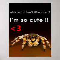 Spider I'm So Cute | Spider Lover Gift