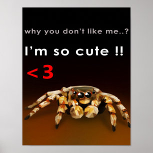 Spider I'm So Cute   Spider Lover Gift Poster