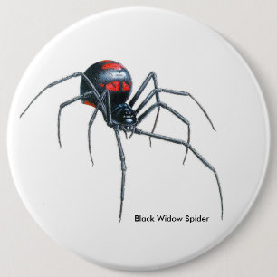 Spider image for Colossal-Round-Badge 6 Cm Round Badge