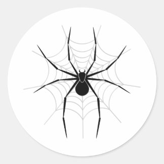 Spider in a Web Classic Round Sticker