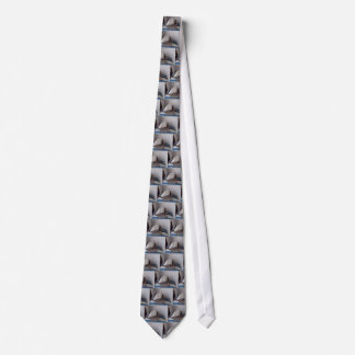 Spider in gift box tie