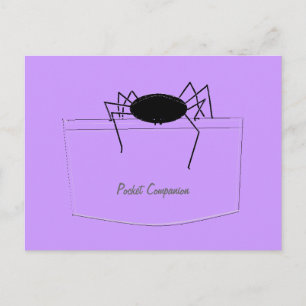 Spider in Pocket Postcard